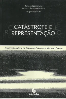 CATSTROFE E REPRESENTAO