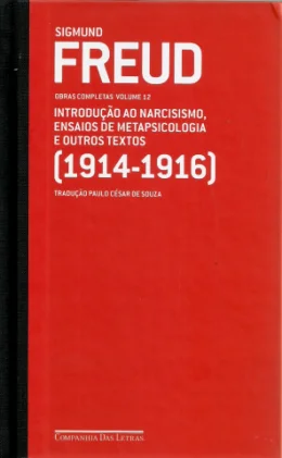 FREUD (1914-1916) - VOL. 12 - INTRODUO AO NARCISISMO, ENSAIOS DE METAPSICOLOGIA E OUTROS TEXTOS