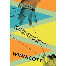 Processos de amadurecimento e ambiente facilitador