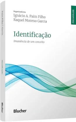 Identificao: Imanncia de um Conceito