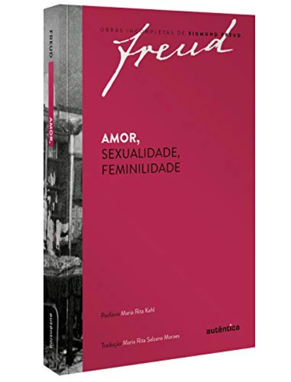 Freud - Kit Obras fundamentais - Vol. 3: Volume 3